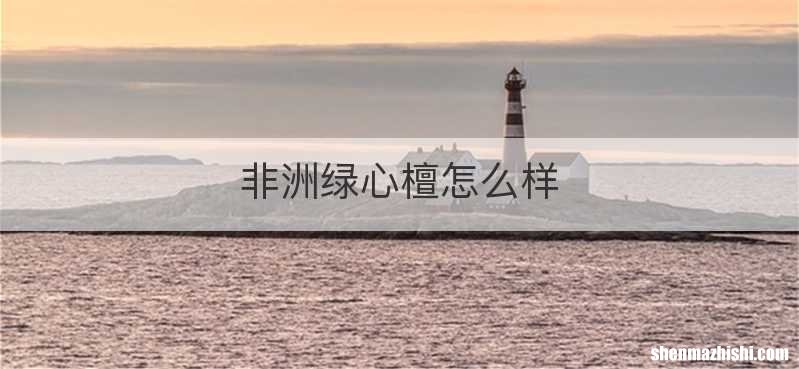 非洲绿心檀怎么样