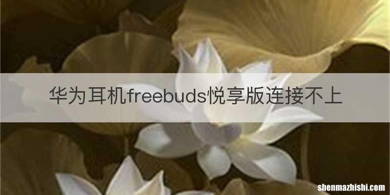 华为耳机freebuds悦享版连接不上