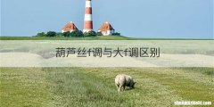 葫芦丝f调与大f调区别