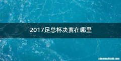 2017足总杯决赛在哪里