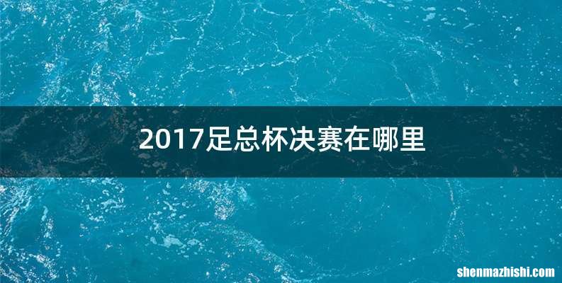 2017足总杯决赛在哪里