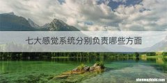 七大感觉系统分别负责哪些方面