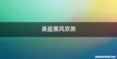 英超黑风双煞