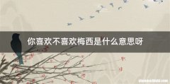你喜欢不喜欢梅西是什么意思呀
