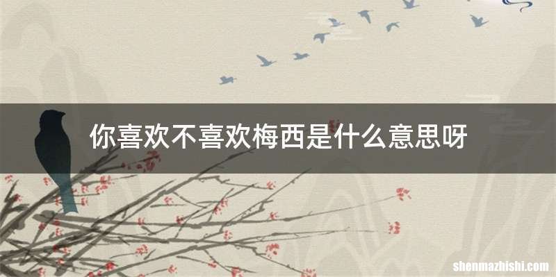 你喜欢不喜欢梅西是什么意思呀