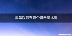 武磊以前在哪个俱乐部比赛