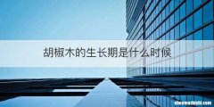 胡椒木的生长期是什么时候