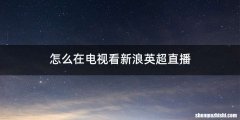 怎么在电视看新浪英超直播