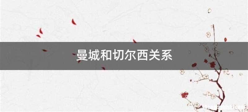 曼城和切尔西关系