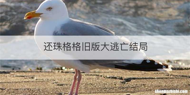 还珠格格旧版大逃亡结局