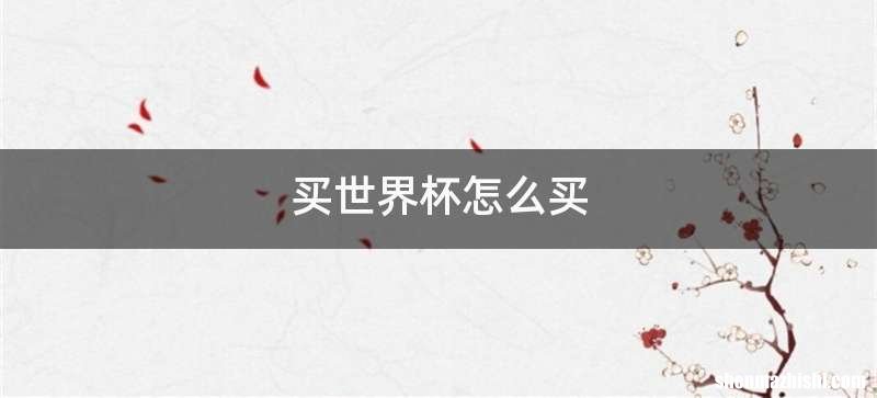 买世界杯怎么买