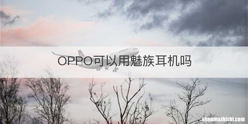 OPPO可以用魅族耳机吗