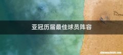 亚冠历届最佳球员阵容