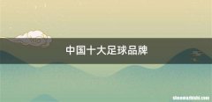 中国十大足球品牌