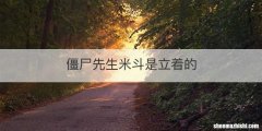 僵尸先生米斗是立着的