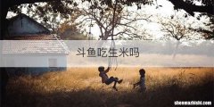 斗鱼吃生米吗
