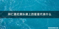 拜仁慕尼黑队徽上的星星代表什么