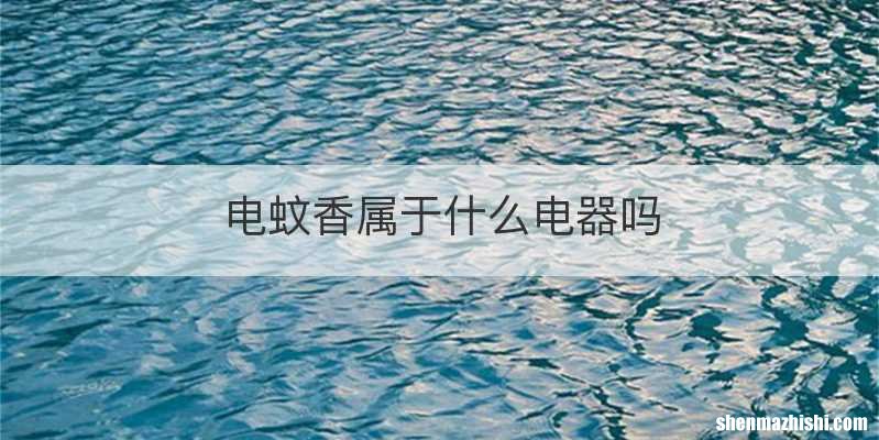 电蚊香属于什么电器吗