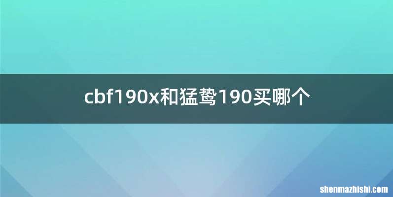 cbf190x和猛鸷190买哪个