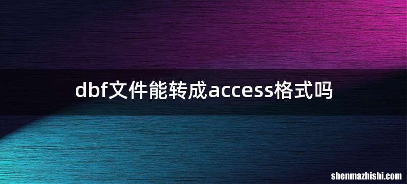 dbf文件能转成access格式吗