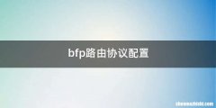bfp路由协议配置