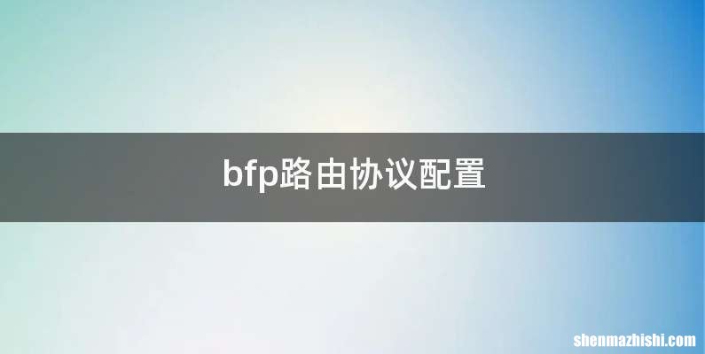 bfp路由协议配置