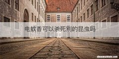 电蚊香可以杀死别的昆虫吗