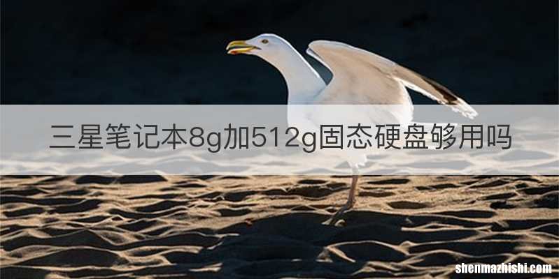 三星笔记本8g加512g固态硬盘够用吗