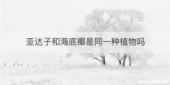 亚达子和海底椰是同一种植物吗