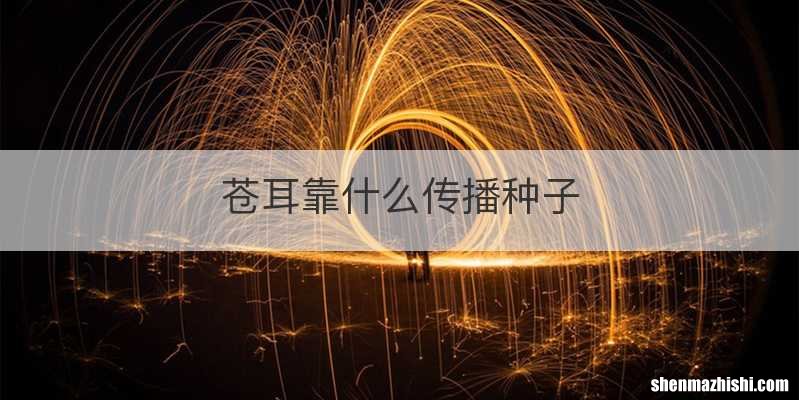 苍耳靠什么传播种子