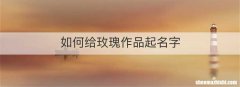 如何给玫瑰作品起名字