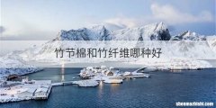 竹节棉和竹纤维哪种好