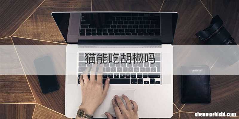 猫能吃胡椒吗