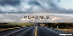 苍耳子陕西叫法