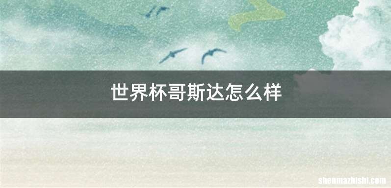 世界杯哥斯达怎么样