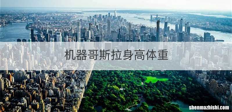 机器哥斯拉身高体重