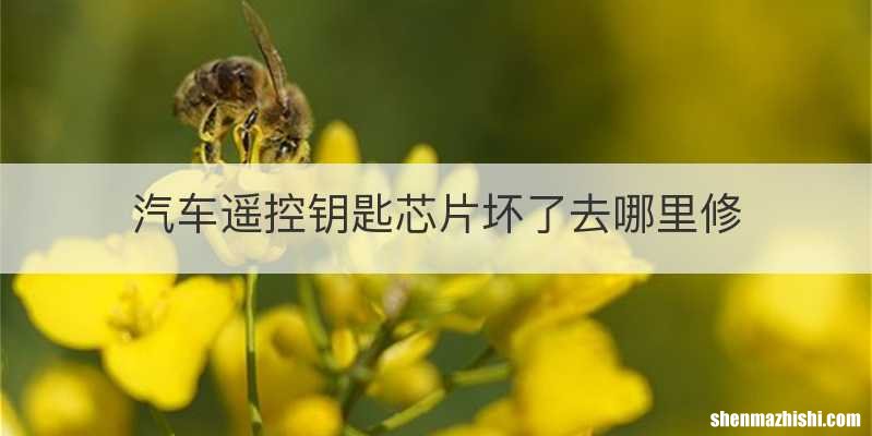 汽车遥控钥匙芯片坏了去哪里修