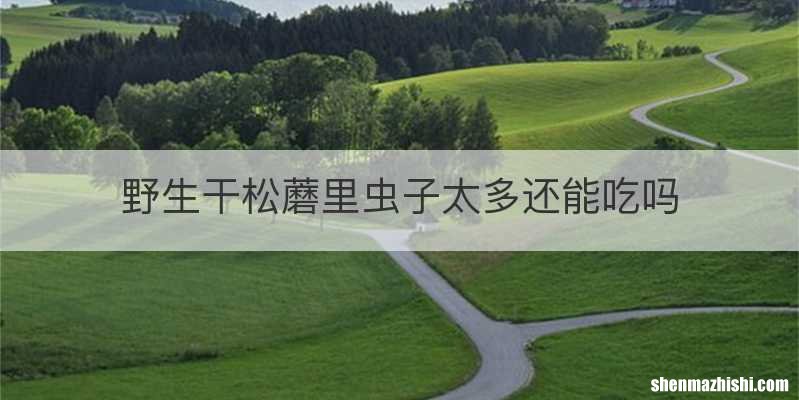 野生干松蘑里虫子太多还能吃吗