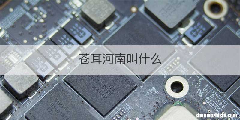 苍耳河南叫什么