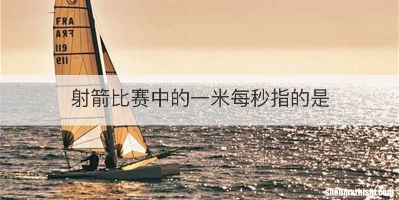 射箭比赛中的一米每秒指的是