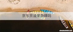 京东京造是杂牌吗