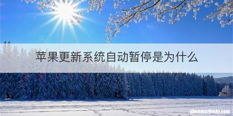 苹果更新系统自动暂停是为什么