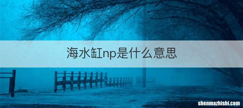 海水缸np是什么意思