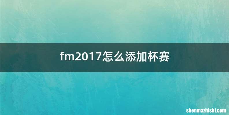 fm2017怎么添加杯赛