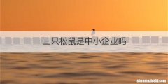 三只松鼠是中小企业吗