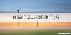 良品铺子是三只松鼠旗下的吗