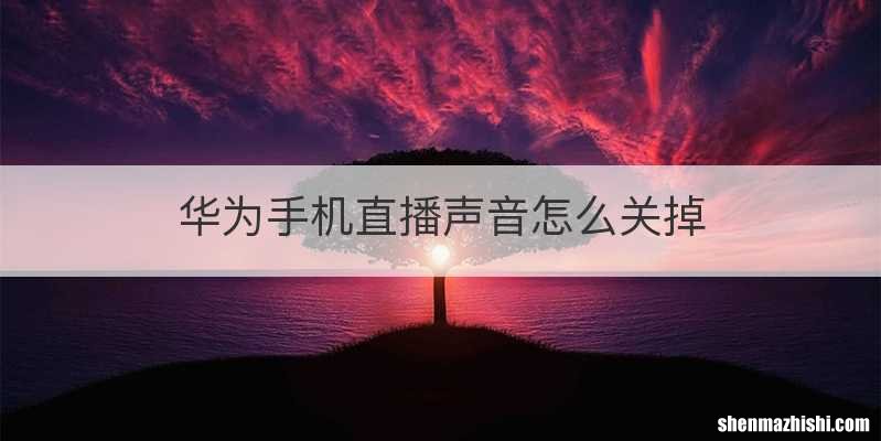华为手机直播声音怎么关掉