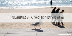 手机里的联系人怎么转到SD卡里面