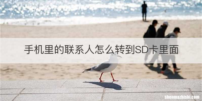 手机里的联系人怎么转到SD卡里面