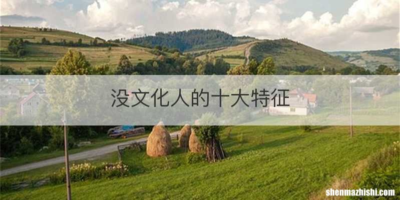 没文化人的十大特征